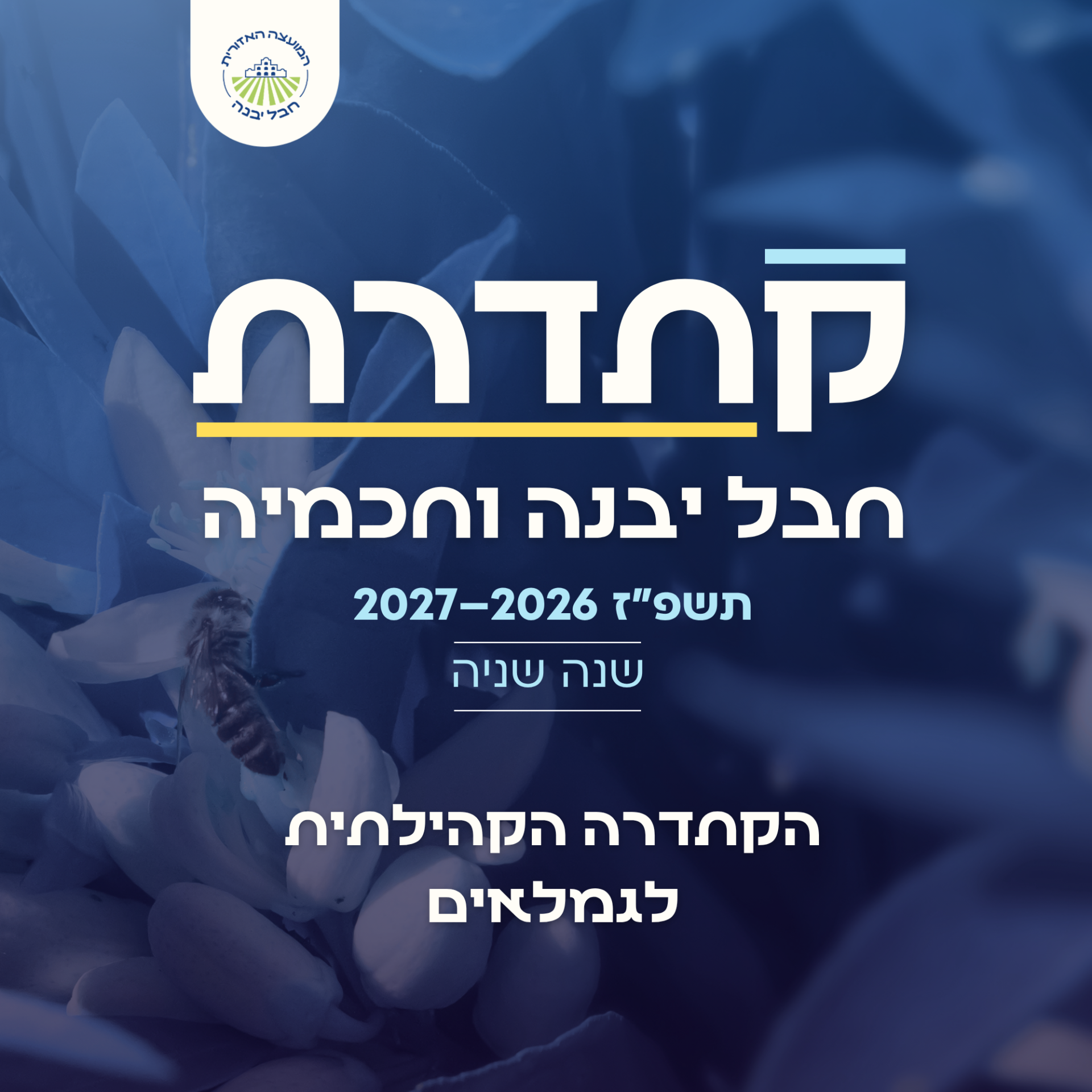 הקתדרה פרסום.png