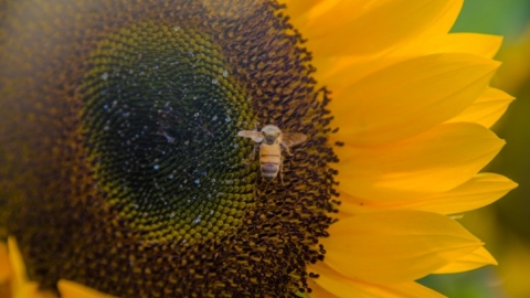 בואו לראות כמה יפה החבל (21).jpg