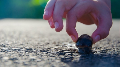 בואו לראות כמה יפה החבל (5).jpg