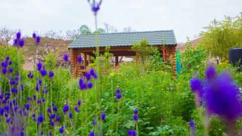 בואו לראות איזה יופי החבל (2).jpg