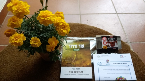 WhatsApp Image 2020-04-02 at 12.27.09.jpeg