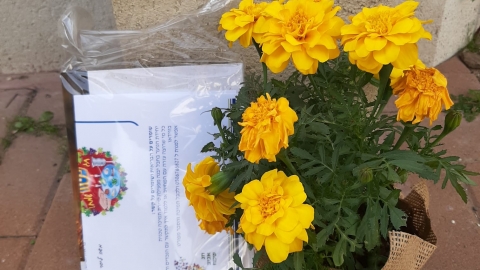 WhatsApp Image 2020-04-02 at 09.32.58.jpeg