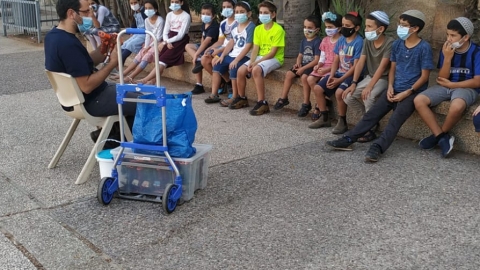 WhatsApp Image 2020-10-29 at 15.03.49.jpeg