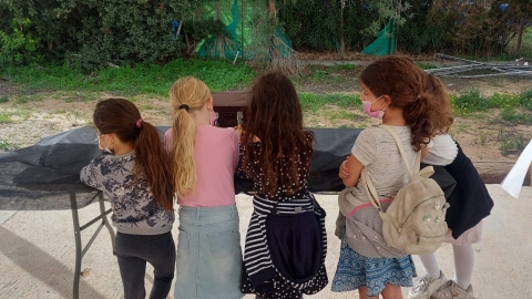 WhatsApp Image 2020-12-20 at 15.17.01.jpeg