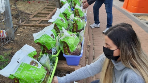 WhatsApp Image 2021-01-06 at 13.10.37.jpeg