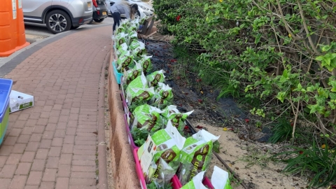 WhatsApp Image 2021-01-06 at 13.11.24.jpeg