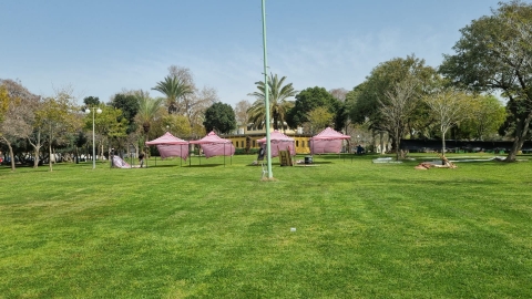 WhatsApp Image 2022-03-31 at 10.11.34.jpeg