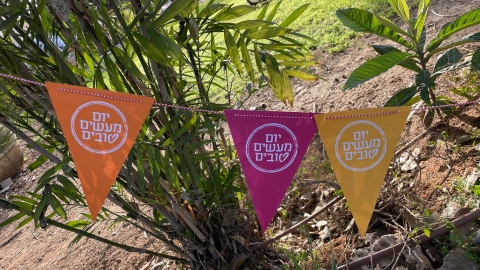 WhatsApp Image 2022-03-31 at 10.11.24.jpeg